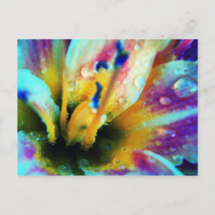 Embossed Lily Postcard Postkarte