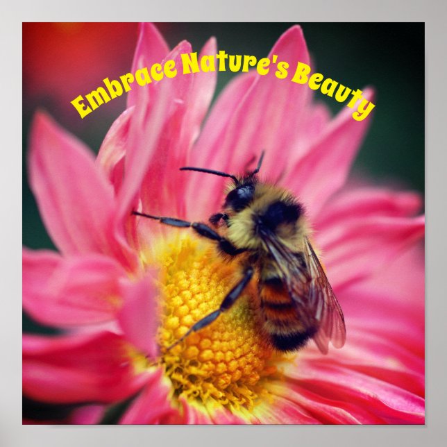 Embrace Nature Bee on Daisy Inspiration Poster (Vorne)