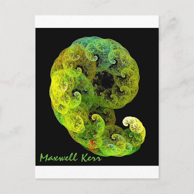 Embryo Postkarte (Vorderseite)