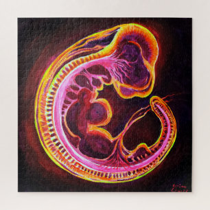 Embryo Puzzle