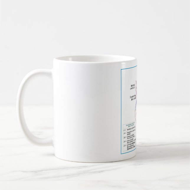 Embryologie-Tasse Kaffeetasse (Links)
