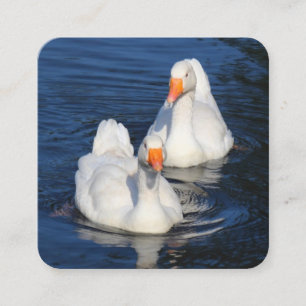 Emden Geese Quadratische Visitenkarte