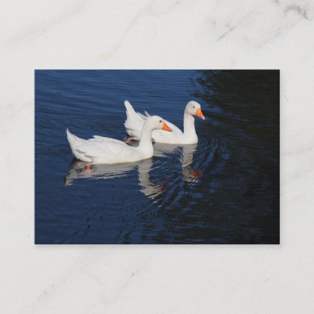 Emden Geese Visitenkarte (Vorderseite)