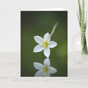 Emerald-Bloom-Reflexionskarte Karte