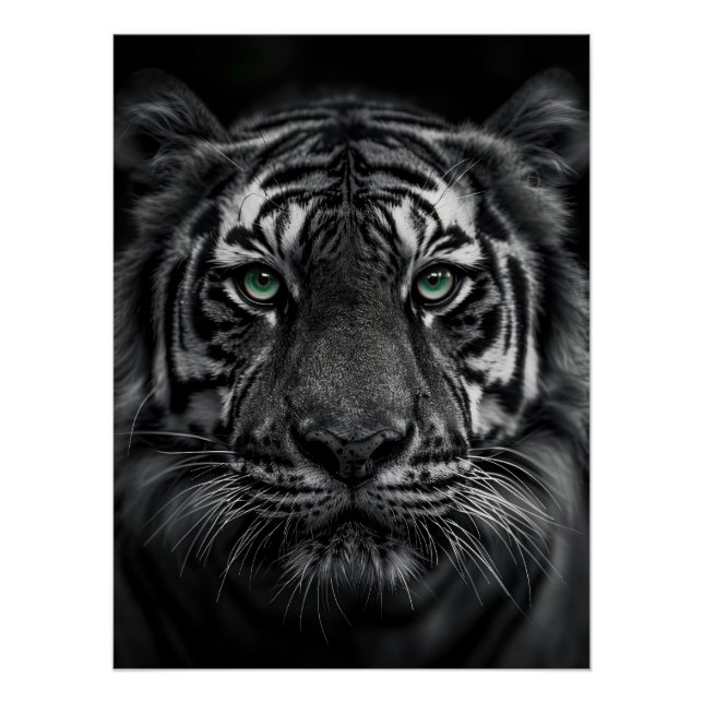 Emerald-Eyed Tiger Portrait - Black and White Poster (Vorderseite)