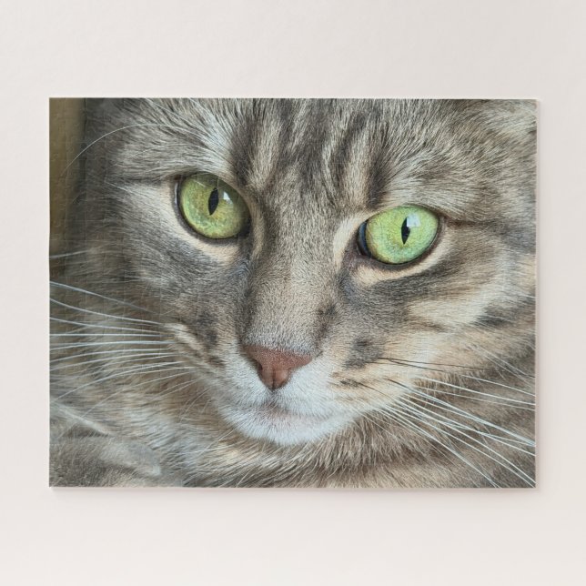 Emerald Eyes – Portrait of a Green-Eyed Cat Puzzle (Horizontal)