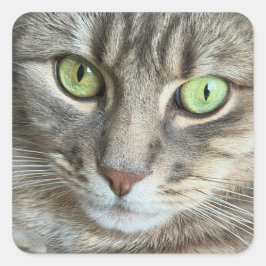 Emerald Eyes – Portrait of a Green-Eyed Cat Quadratischer Aufkleber