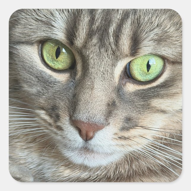 Emerald Eyes – Portrait of a Green-Eyed Cat Quadratischer Aufkleber (Vorderseite)