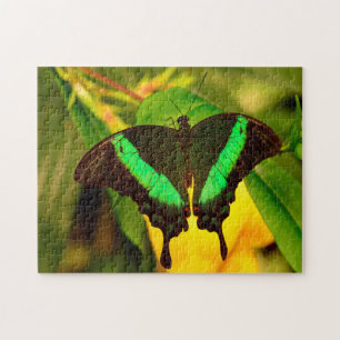 Emerald Frack Butterfly. Puzzle