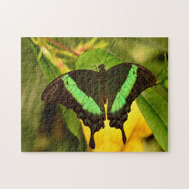 Emerald Frack Butterfly. Puzzle (Horizontal)