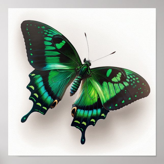 Emerald Green Butterfly Art Print Poster (Vorne)