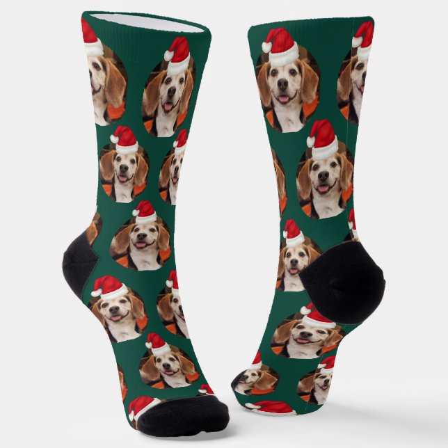 Emerald Green Pet Foto & Weihnachtsmannmützen auf  Socken (Gewinkelt)
