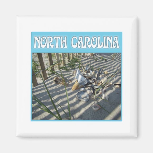 Emerald Isle Beach Seashell Collection Magnet (Vorne)