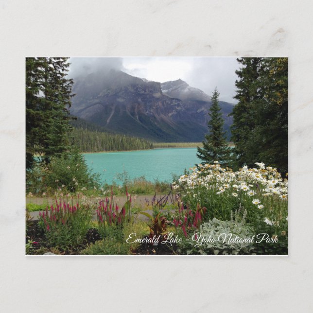 Emerald Lake Postkarte (Vorderseite)