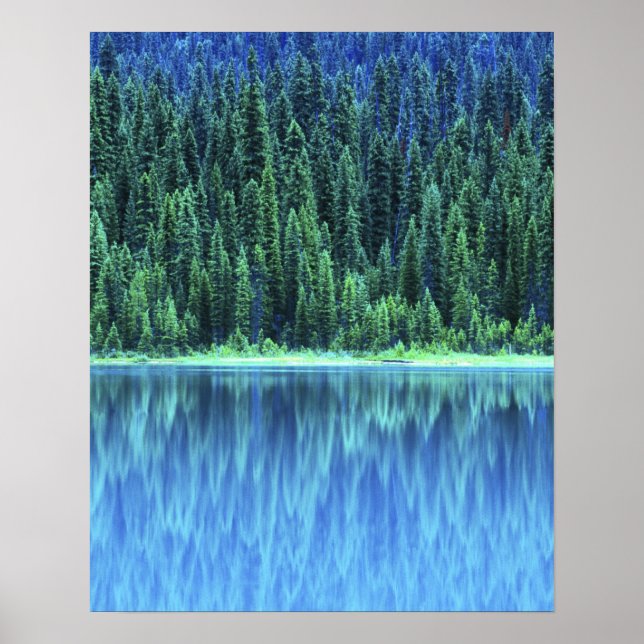 Emerald Lake, Yoho NP, BC, Kanada Poster (Vorne)