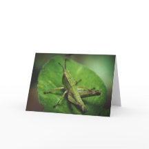 Emerald Majesty: Ein eleganter Grasshopper