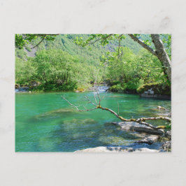Emerald Peace Postcard Postkarte