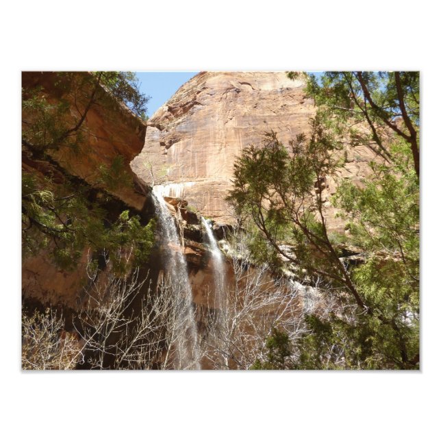 Emerald Pool Falls I aus dem Zion National Park Fotodruck (Vorne)