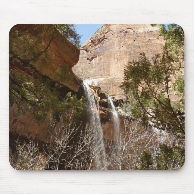 Emerald Pool Falls I aus dem Zion National Park Mousepad (Vorne)