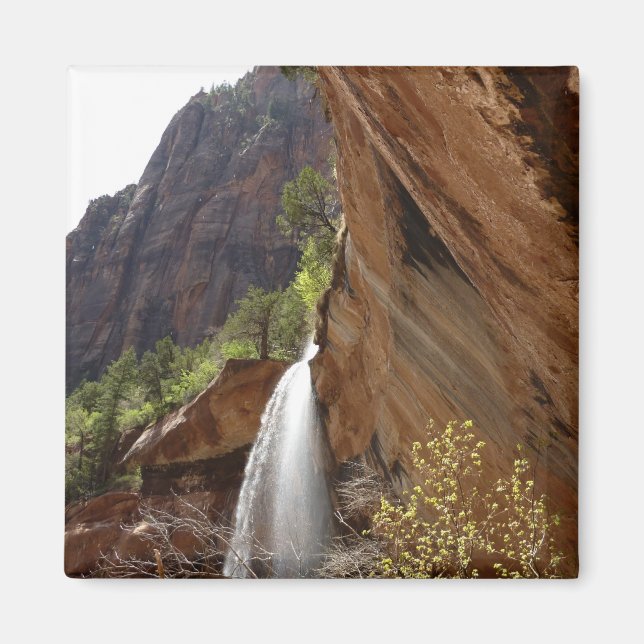 Emerald Pool Falls III von Zion National Park Magnet (Vorne)