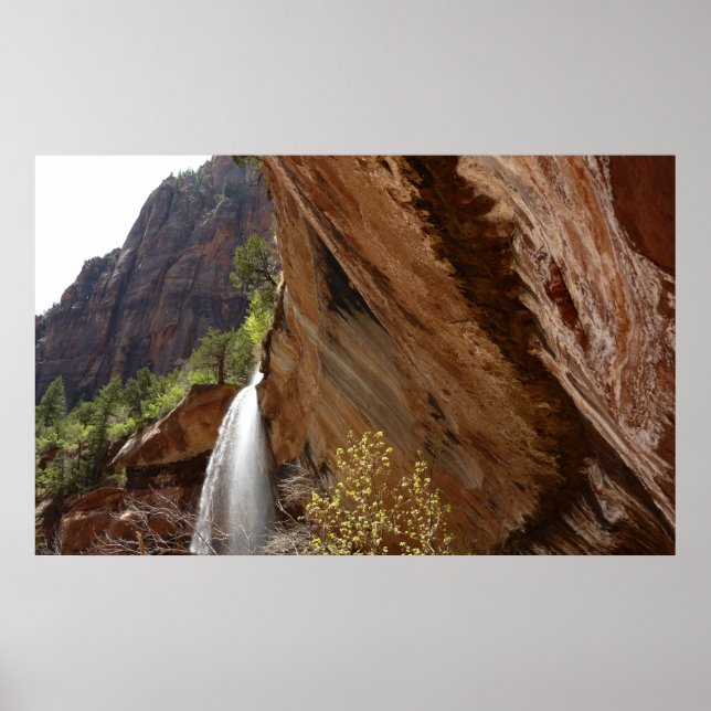 Emerald Pool Falls III von Zion National Park Poster (Vorne)