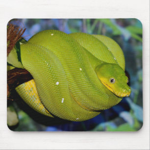 Emerald-Tree-Boa-Schlange Mousepad