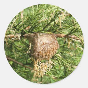 Emerging Mantis ~ Aufkleber