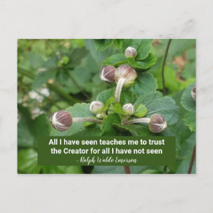 Emerson Quote Blume buds Faith Trust the Creator Postkarte