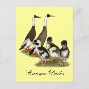 Emery gestrichelte Runner-Entenfamilie Postkarte