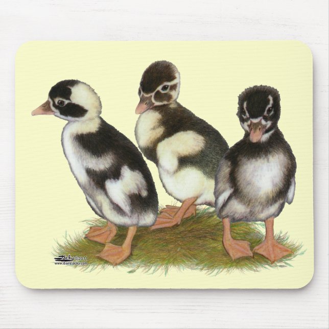 Emery gestrichelte Runner Entlein Mousepad (Vorne)