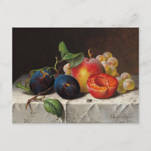 Emilie Preyer: Früchte und Fliege Postkarte