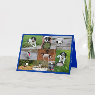 Emily-Karte Dankeskarte