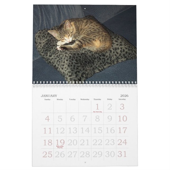 Emma-Kalender Kalender (Jan 2026)