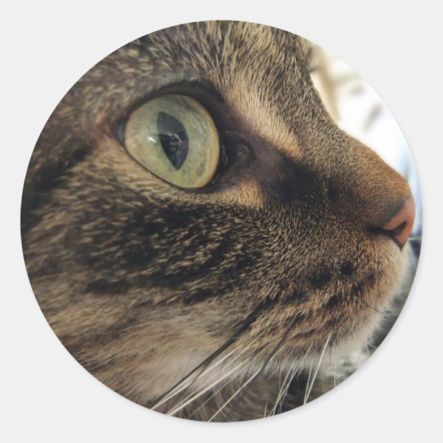 Emma Nah-up Cat Foto Stickers (Vorderseite)