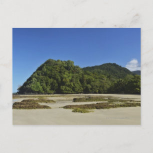 Emmagen Beach, Daintree National Park (UNESCO 2 Postkarte