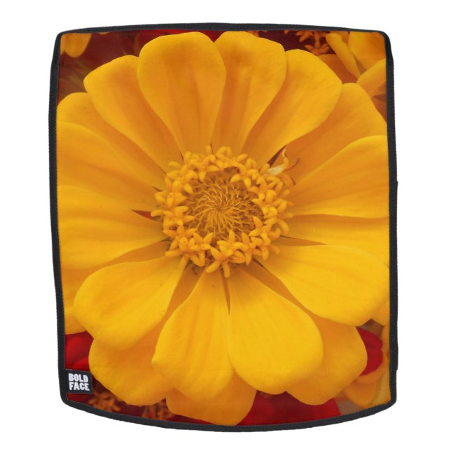 Emmeline Rucksack (Abnehmbare Front)