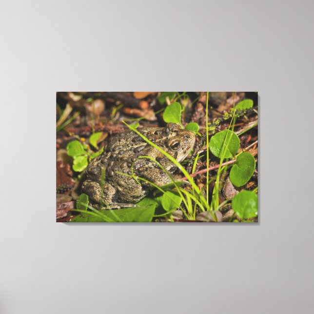 Emonton, Alberta, Canada Leinwanddruck (Vorderseite)