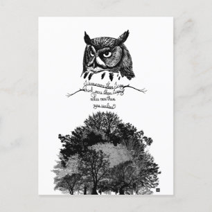 Empath Owl Weisheit einführen illustriertes Tinten Postkarte