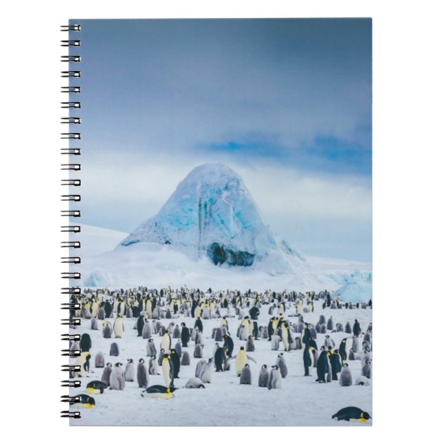 Emperor Penguin Colony Notizblock (Vorderseite)