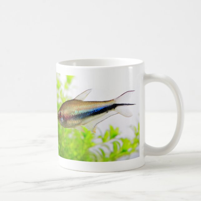 Emperor tetra tasse (Rechts)