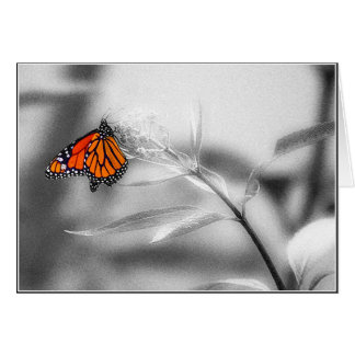 Empfindliche Balance