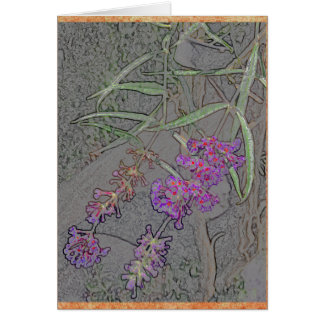 Empfindliche lila Blumen