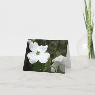 Empfindlicher Hartriegel Notecard Karte