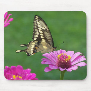 Empfindlicher Monarch Mousepad