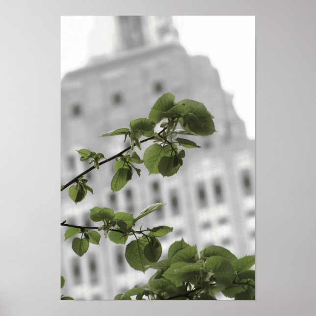 Empire State in New York Poster (Vorne)