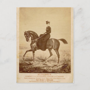 Empress Elisabeth of Austria riding horse #023SS Postkarte