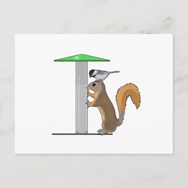 Empty Bird Feeder Postkarte (Vorderseite)