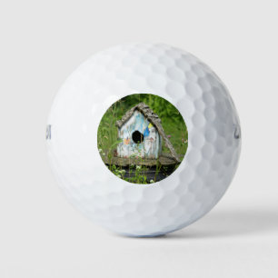Empty Birdhouse Golfball