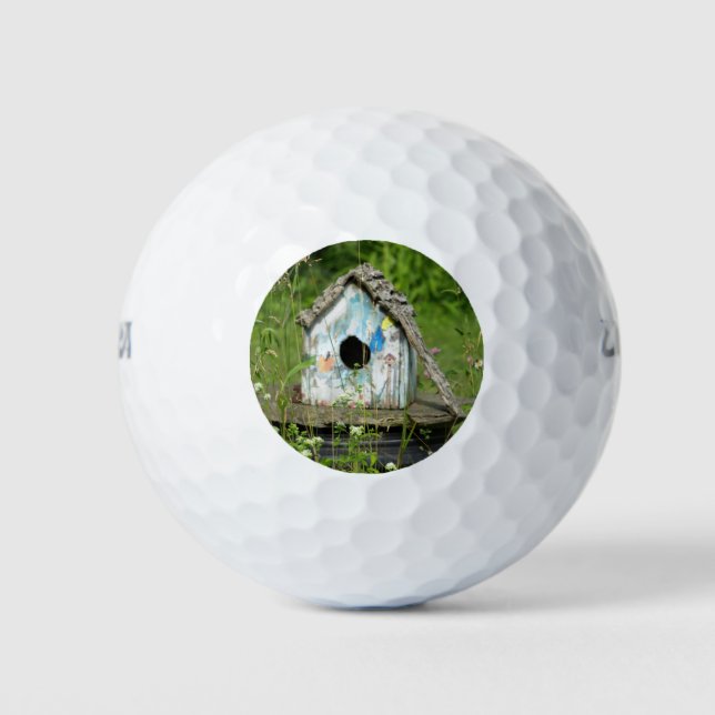 Empty Birdhouse Golfball (Vorderseite)
