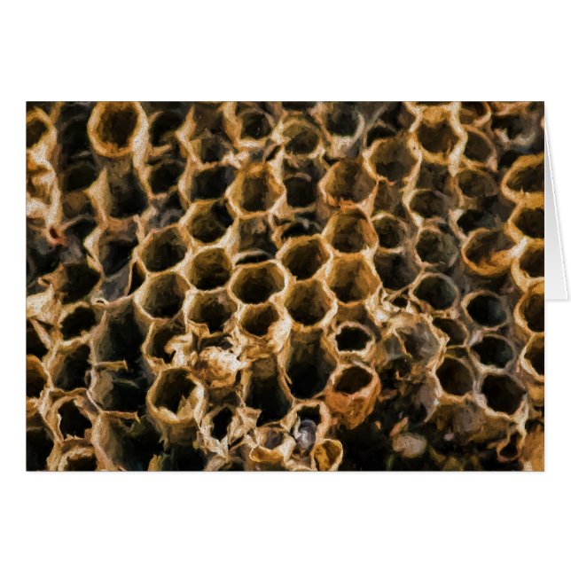 Empty Nest (Vorderseite (Horizontal))